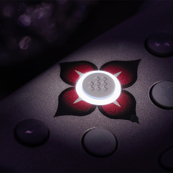 8BitDo Ultimate 2 Wireless Controller (Honkai: Star Rail - Evernight) - Gamepad for Modern and Retro Gaming Setups