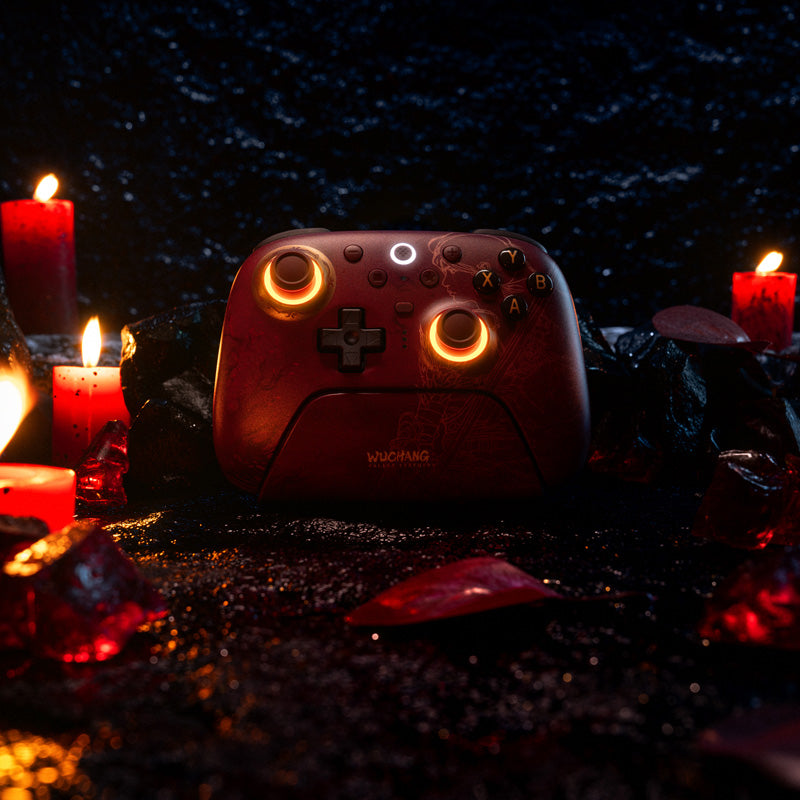 8BitDo Ultimate 2 Wireless Controller - WUCHANG: Fallen Feathers - Gamepad for Modern and Retro Gaming Setups