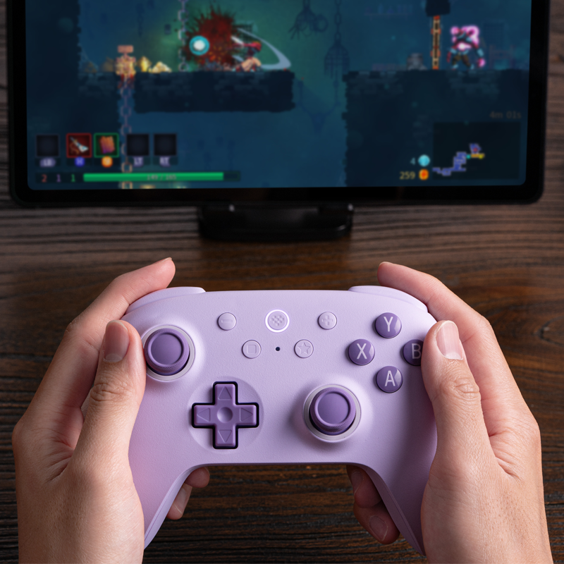 8BitDo Ultimate 2C Wireless Controller (PC) - Gamepad for Modern and Retro Gaming Setups