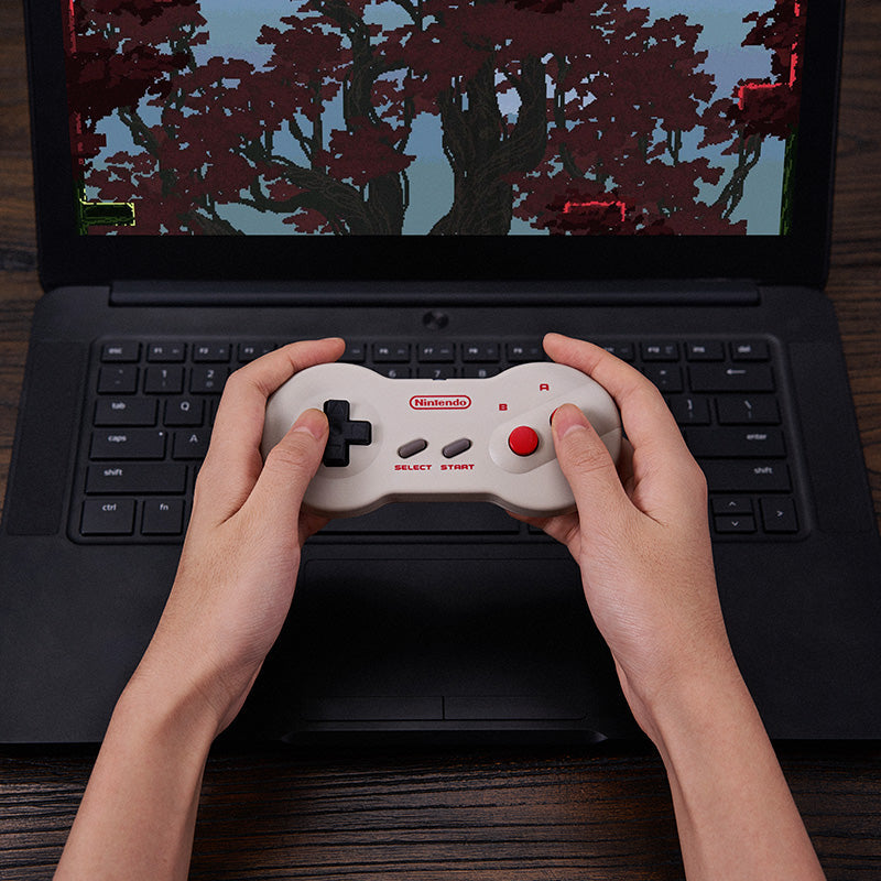 8BitDo Mod Kit for Original Dogbone Controller - Upgrade Kit Collection for Classic Controller Projects